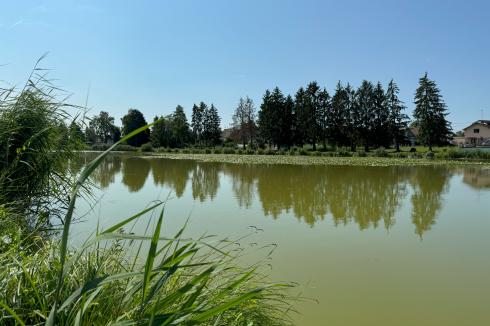 Village Neuf étang de pêche