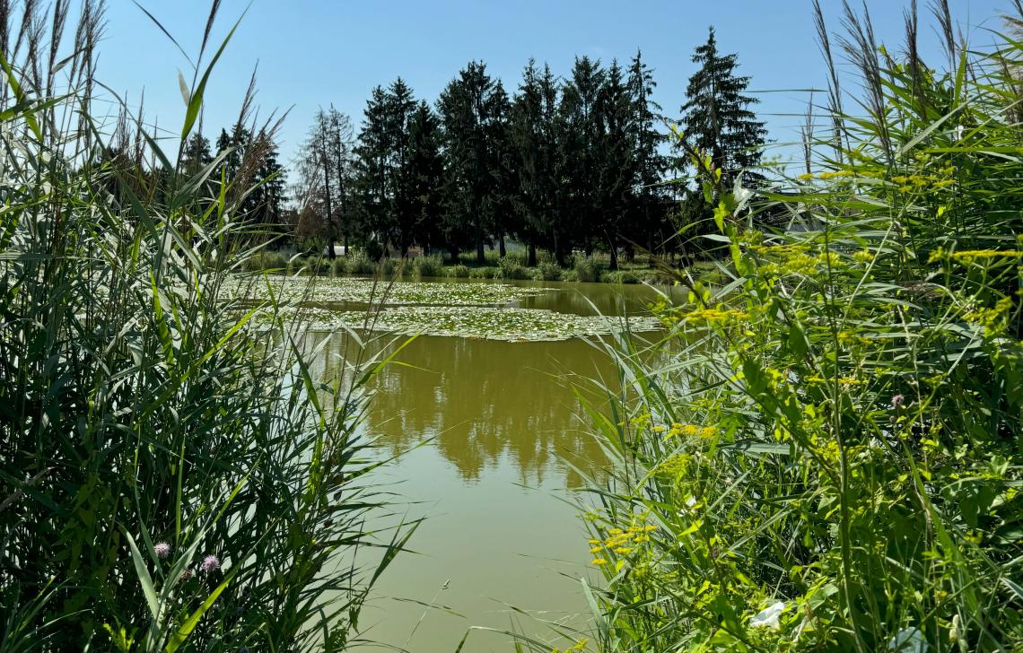 Village Neuf Etang de pêche